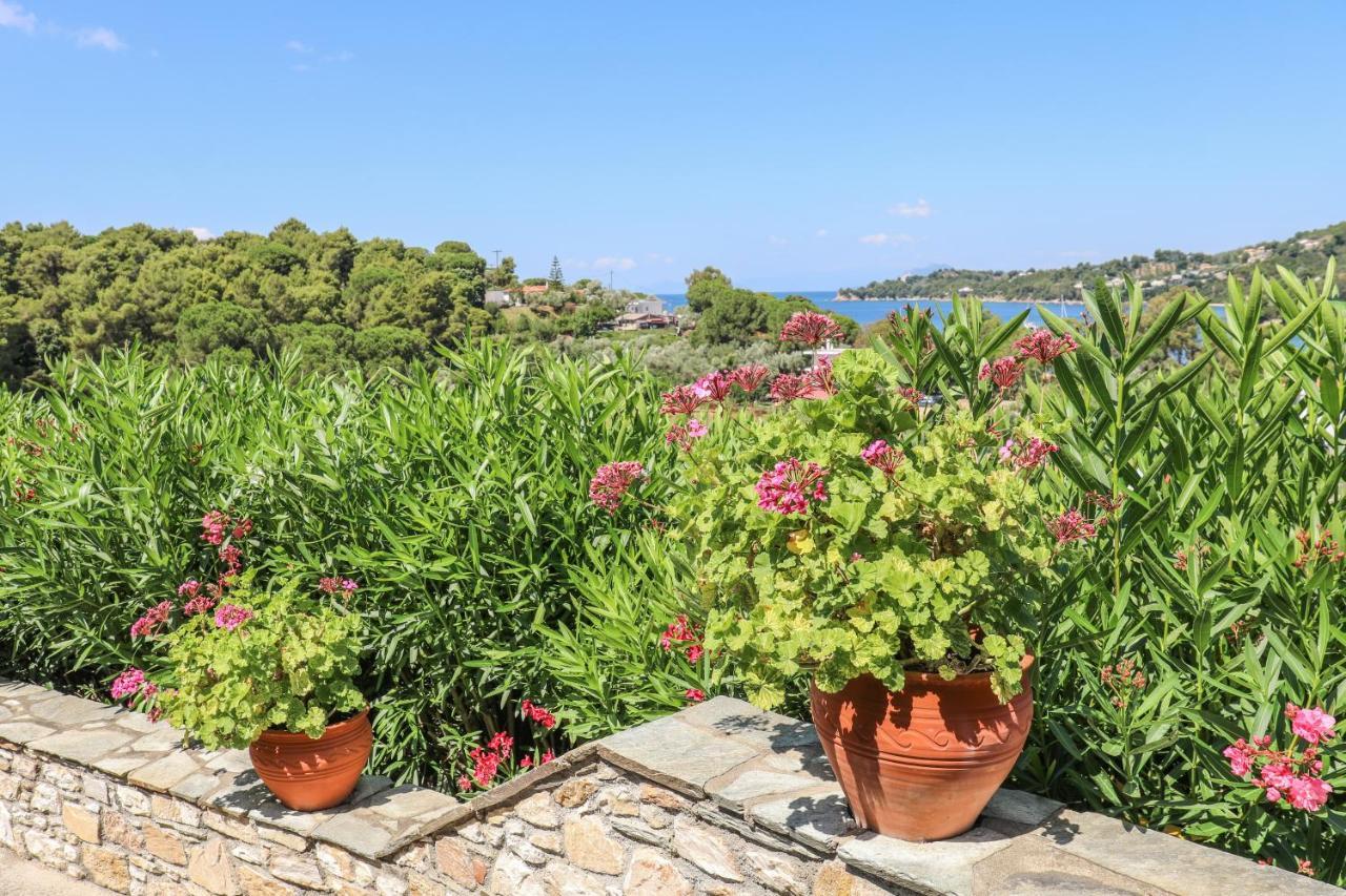 Pandora Studios Skiathos Kolios Ngoại thất bức ảnh